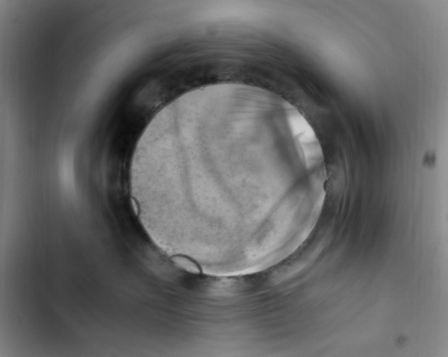 X0000102860527200809151214