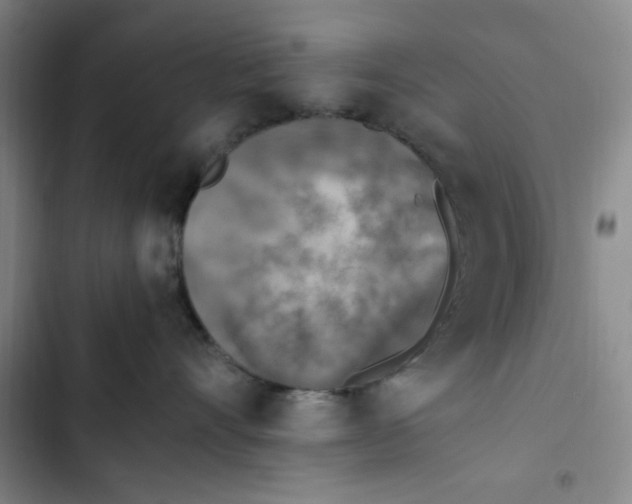 X0000102860528200809151214