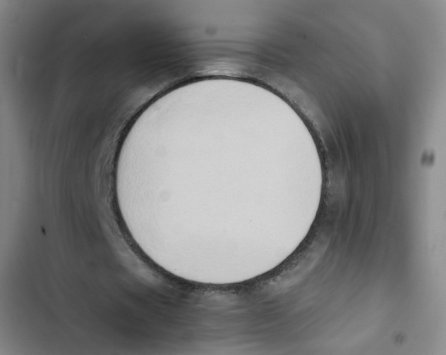 X0000102860529200809151213