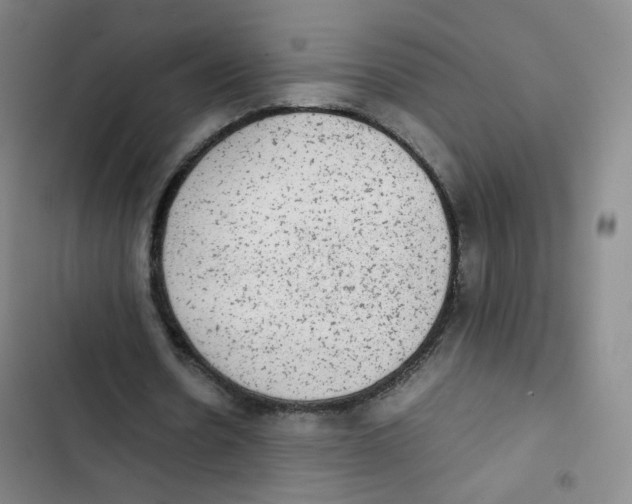 X0000102860530200809151213