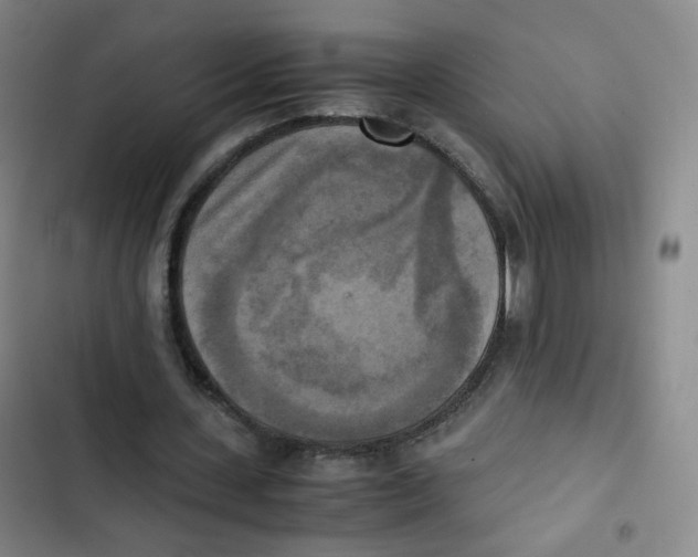 X0000102860531200809151213
