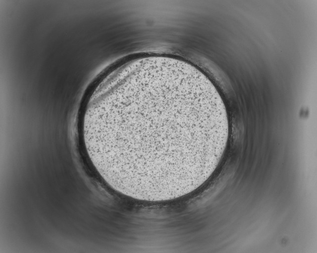 X0000102860532200809151213