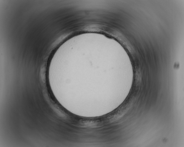 X0000102860533200809151213
