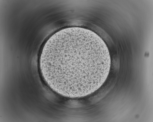 X0000102860534200809151213