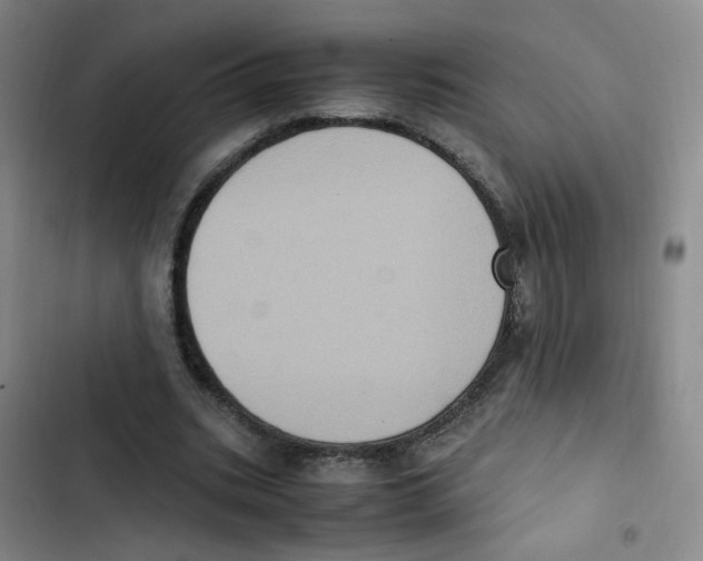 X0000102860535200809151213