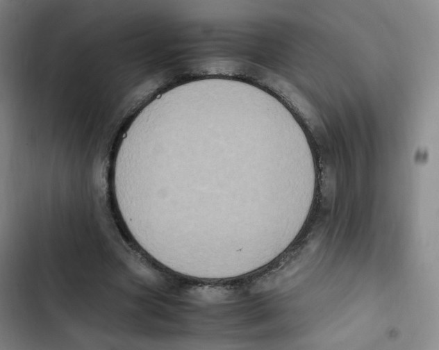 X0000102860537200809151213