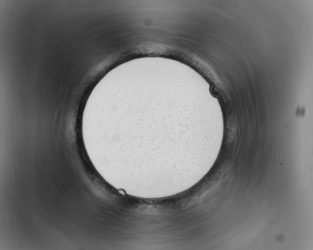 X0000102860538200809151213