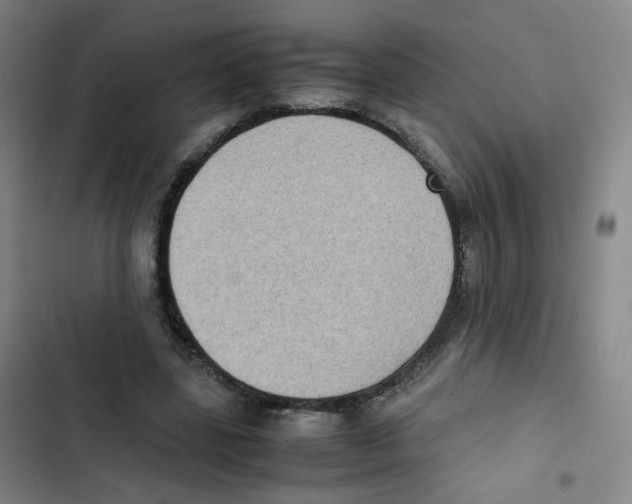 X0000102860539200809151213