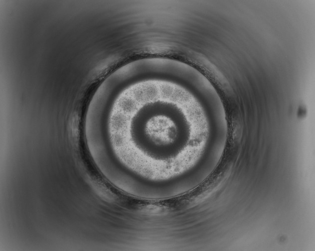 X0000102860542200809151214