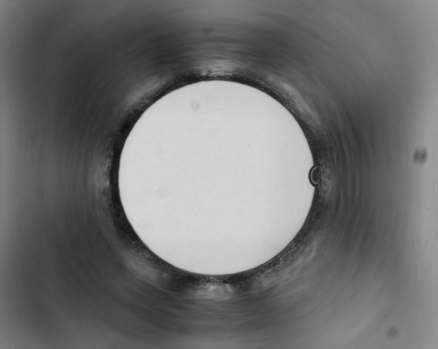 X0000102860543200809151214