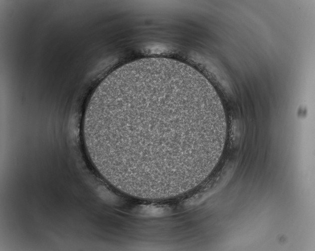 X0000102860545200809151214