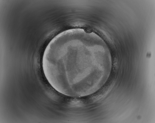 X0000102860547200809151214