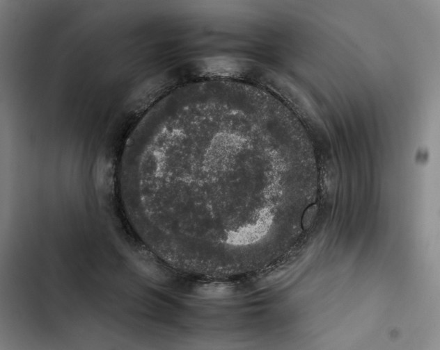X0000102860551200809151214