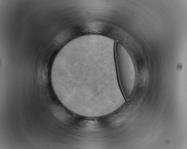 X0000102860552200809151214