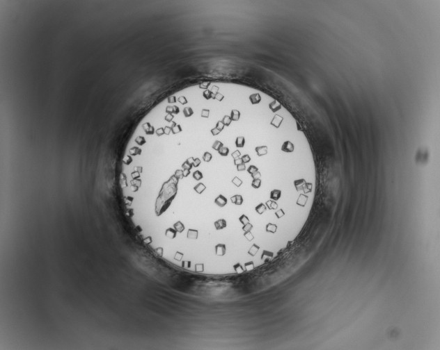 X0000102860554200809151214