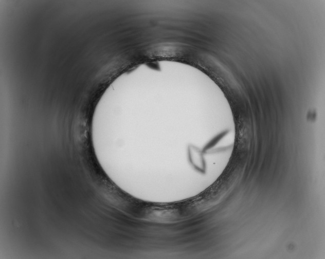 X0000102860555200809151214