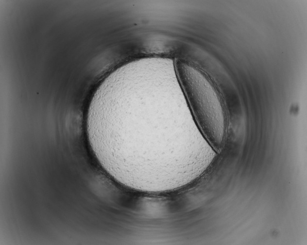 X0000102860556200809151214