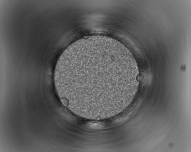 X0000102860557200809151214