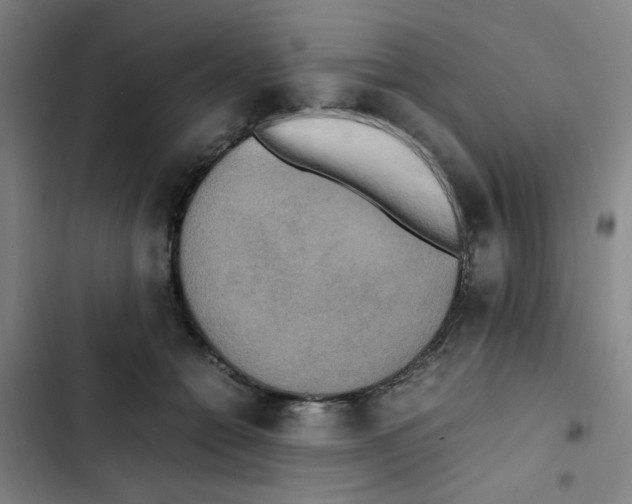 X0000102860558200809151214