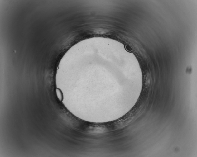 X0000102860559200809151214