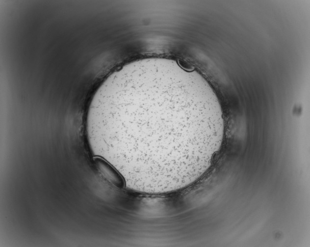X0000102860560200809151214