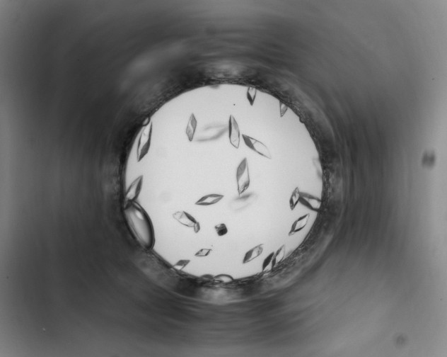 X0000102860561200809151214