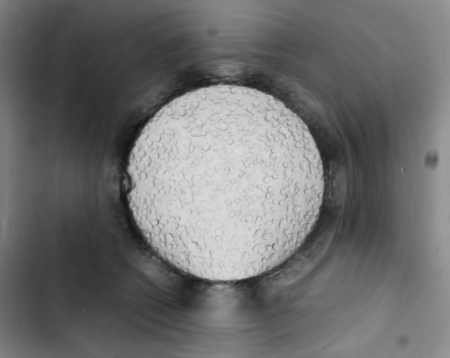 X0000102860562200809151214