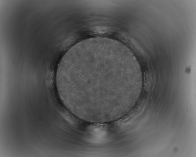 X0000102860563200809151214