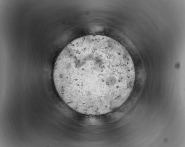 X0000102860565200809151214