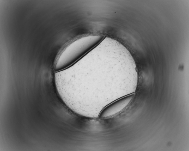 X0000102860566200809151214
