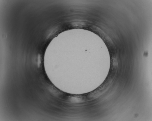 X0000102860567200809151214