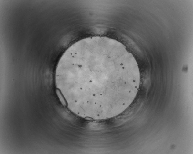 X0000102860568200809151214