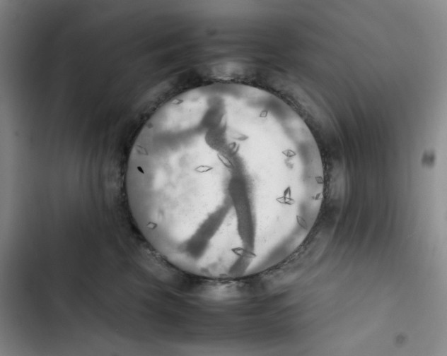 X0000102860569200809151214