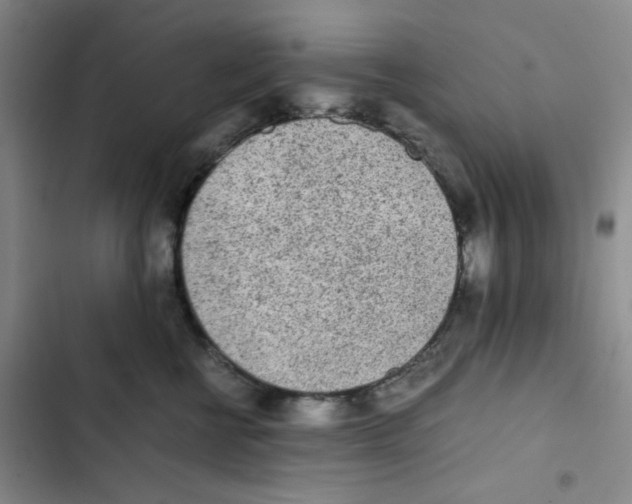 X0000102860570200809151214