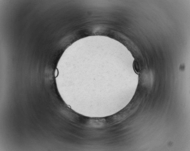 X0000102860571200809151214