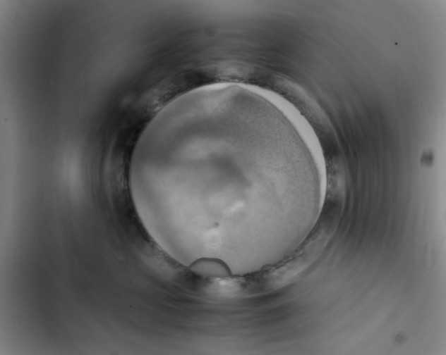 X0000102860573200809151214
