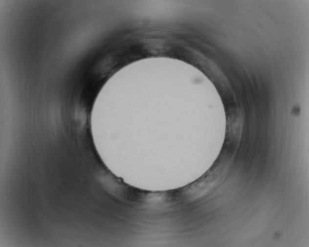 X0000102860574200809151214