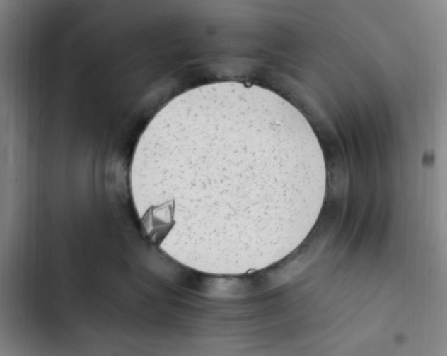 X0000102860575200809151214