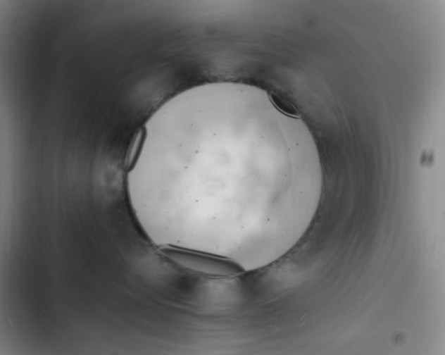X0000102860576200809151214