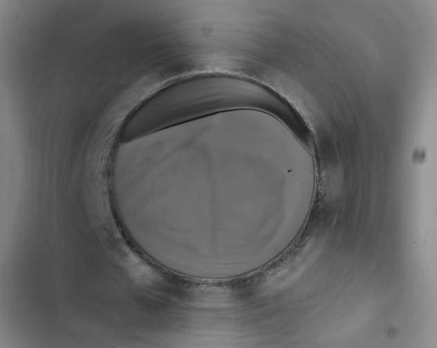 X0000102860577200809151213