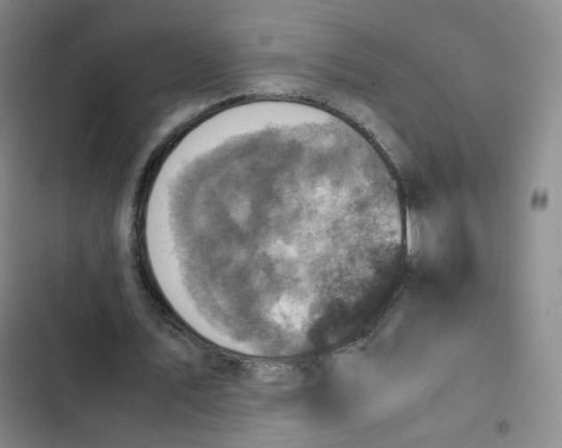 X0000102860579200809151213