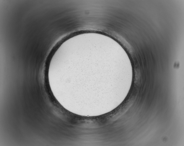 X0000102860580200809151213
