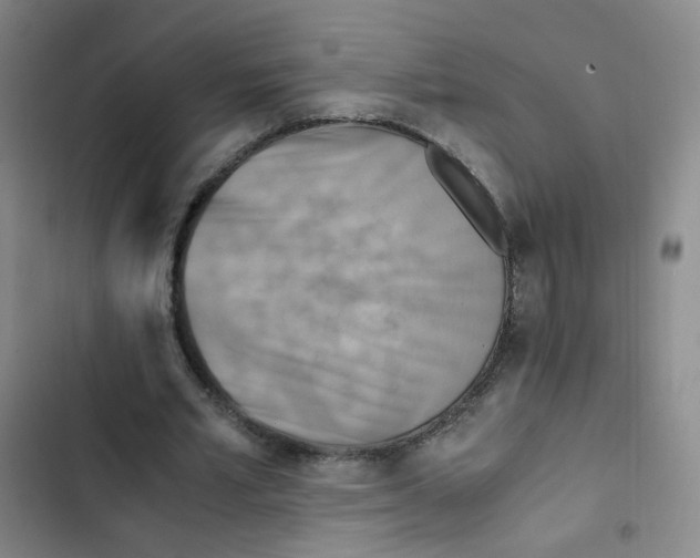 X0000102860581200809151213