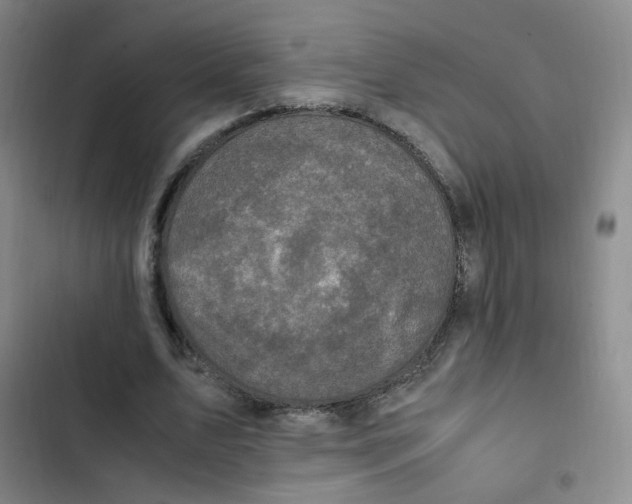 X0000102860583200809151213