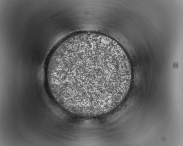 X0000102860584200809151213