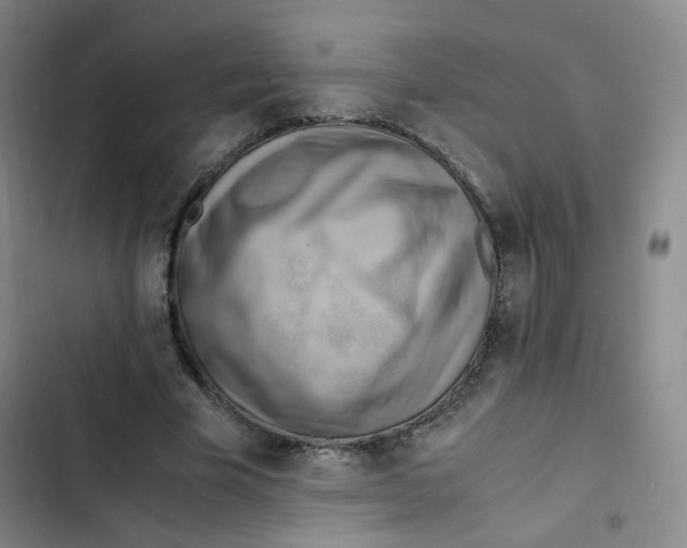 X0000102860585200809151213