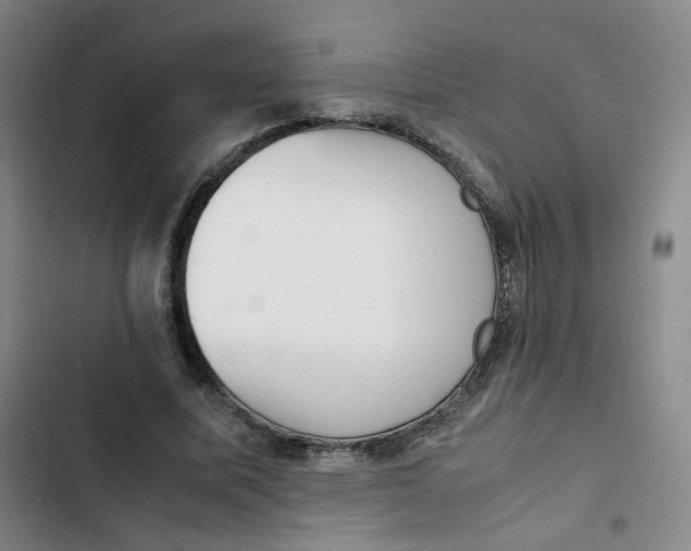 X0000102860587200809151213