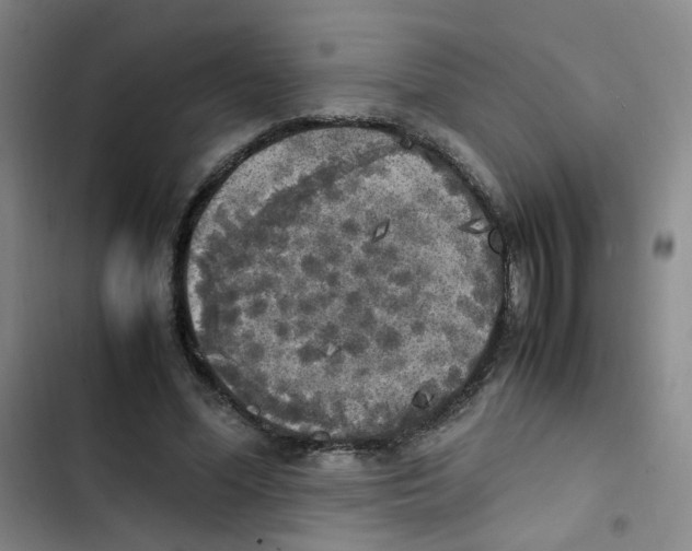 X0000102860588200809151213