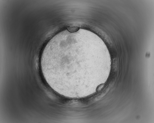 X0000102860589200809151213