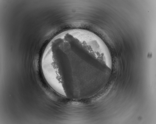 X0000102860590200809151213